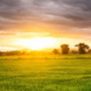 Meet your Posher, Josefina